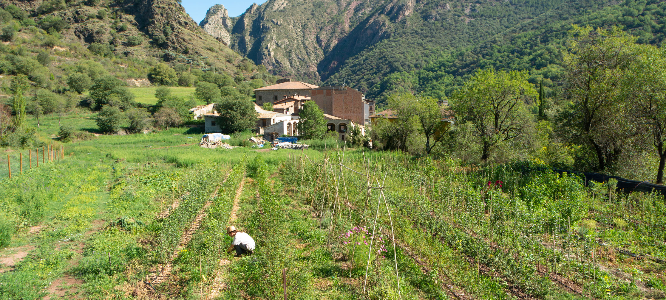 Lo Verger Viver D Arbres Fruiters Tradicionals